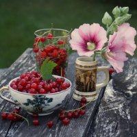"Рубиновые" ягодки тёплого лета.. :: Татьян@ Ивановна