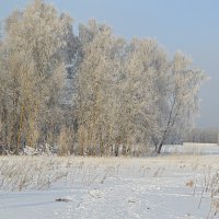 Зимушка морозная :: Татьяна Лютаева