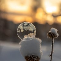 Мыльный пузырь :: Андрей Пристяжнюк