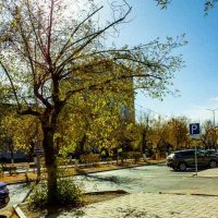 Осень в Караганде :: Светлана SvetNika17