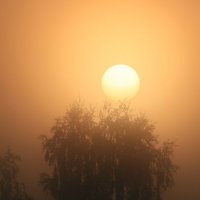 Солнышко в тумане :: Александр Сивкин