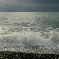 Адлер... море... :: Нина Бутко