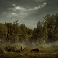 Лошади на болоте :: Виктор Перякин