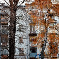 Во дворе старого дома. :: Татьяна Помогалова