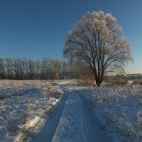 Зима :: Зоя Мишина