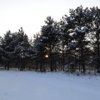 Зима :: Глен Ленкин