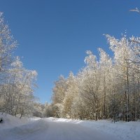 Причуды Деда Мороза. Зимой он здесь хозяин! :: Стальбаум Юрий 