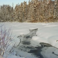 Замёрзший лесной ручей :: Стальбаум Юрий 