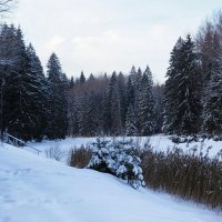 Был первый день нынешней зимы. :: Милешкин Владимир Алексеевич 