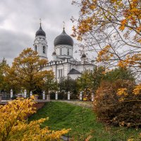 Про Питер :: Владимир Колесников