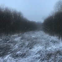 Снегопад :: Андрей Андросов