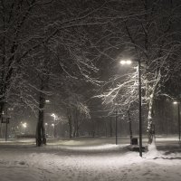 Снегопад :: Олег Пученков