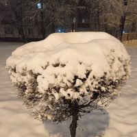 Снегопад. :: Любовь 
