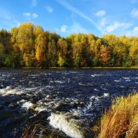 Река Мста, осень :: Aleksey Mychkov
