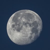 Moon :: Evgenii Zlobin