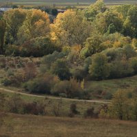 осенний пейзаж :: РозаВетроф 