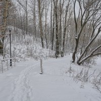 Снежно :: Oleg4618 Шутченко