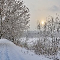 Солнце за снежной пеленой :: Oleg4618 Шутченко