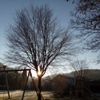 солнце и зима :: Heinz Thorns