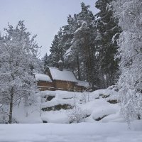 Зима не пожалела снега. :: LIDIA Vdovina