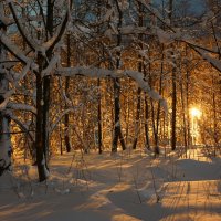 Вечер. Зимняя зарисовка :: Иван Литвинов