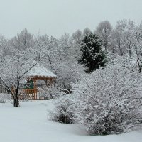 Зима в саду :: Людмила Смородинская