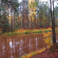 Осенью на реке :: Андрей Снегерёв