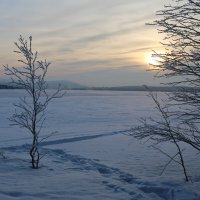 Зимнее озеро :: Ольга 