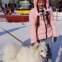 Снежный пёс :: Наталия Григорьева