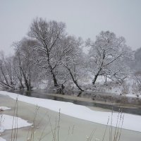Снегопад :: Сергей Курников