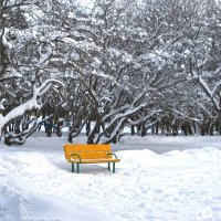 Желтая скамейка :: Александра Климина