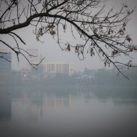 В тумане :: Игорь Протасов