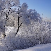 Зима :: Наталия Григорьева