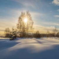 Подмосковная зима # 06 :: Андрей Дворников