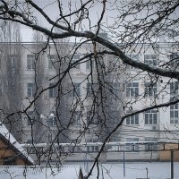 Школьный двор (вид с балкона) :: Игорь Протасов