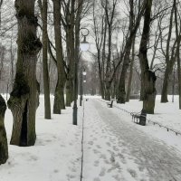 Однажды зимой... :: Наталья Герасимова