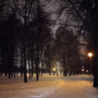 Ночные фонари парка. :: tamara 