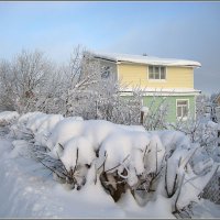 Снежный и ясный денёк :: Любовь Зинченко 