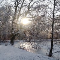 Декабрьские зарисовки :: Маргарита Батырева