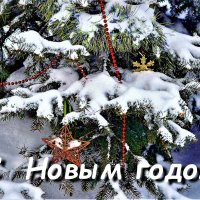 С наступающим Новым 2023 годом и со светлым праздником Рождества, друзья! :: Ольга Русанова (olg-rusanowa2010)