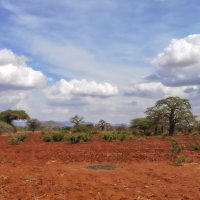Красная земля Африки :: Geolog 8