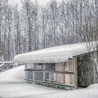 После снегопада.. :: Юрий Яньков