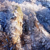 Гуама в снегу :: Ольга Протасова