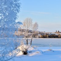 На берегах Енисея :: Владимир Звягин