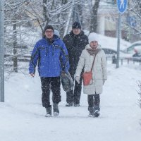 Опять снегопад. :: Анатолий. Chesnavik.