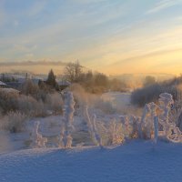 Морозное утро :: tamara kremleva
