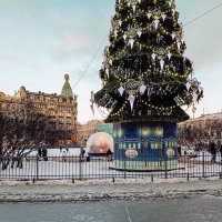 В преддверии Рождества в сквере Казанского собора :: Стальбаум Юрий 
