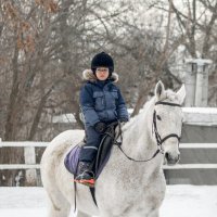 Юный всадник :: Елена Логачева