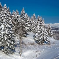 Сахалинская зима :: Ника Романенко