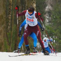 Про лыжные гонки. :: Евгений Седов
